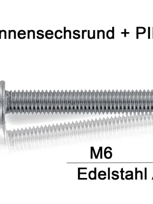 Sonderaktion Sicherheitsschrauben Resis Torx - M6 - Flachrundkopf - Pin-Torx - A2