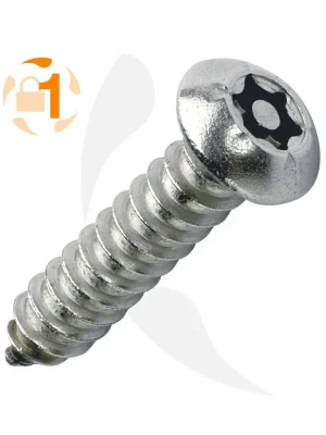 Blechschrauben Resis Torx - 4,8 mm - Flachrundkopf - Pin-Torx - A2 Direkt Vom Hersteller
