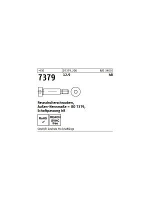 ~ISO 7379 12.9 f9 Pass-Schulterschrauben, Schaftpassung f9 - Abmessung 10 - M 8 x 20 (50 Stück) Saisonangebot