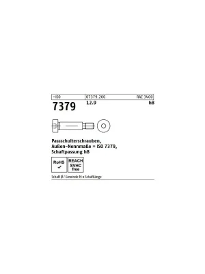~ISO 7379 12.9 f9 Pass-Schulterschrauben, Schaftpassung f9 - Abmessung 12 - M 10 x 35 (25 Stück) Abverkauf