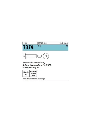 ~ISO 7379 A 2 f9 Pass-Schulterschrauben, Schaftpassung f9 - Abmessung 16f9 M 12 x 40 (25 Stück) Meistverkauft