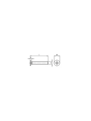 Ausverkauf Senkkopfschrauben ISO 10642 - DIN 7991 - M5x16 - Torx - A2 - 500 Stück