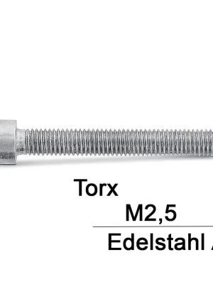 Zylinderschrauben ISO 14579 - M2,5x18 - Zylinderkopf - Torx - A2 - 500 Stück Beliebt