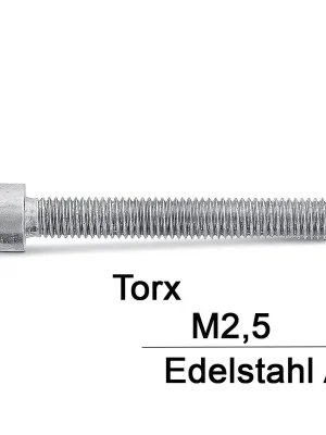 Zylinderschrauben ISO 14579 - M2,5x20 - Zylinderkopf - Torx - A2 - 500 Stück Top-Preis