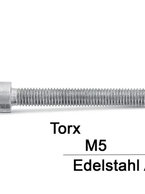 Zylinderschrauben ISO 14579 - M5x25 - Zylinderkopf - Torx - A2 - 200 Stück Top-Seller
