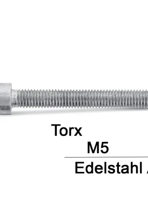 Zylinderschrauben ISO 14579 - M5x55 - Zylinderkopf - Torx - A2 - 200 Stück Neue Kollektion