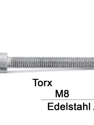 Zylinderschrauben ISO 14579 - M8x18 - Zylinderkopf - Torx - A2 - 200 Stück Meistverkauft