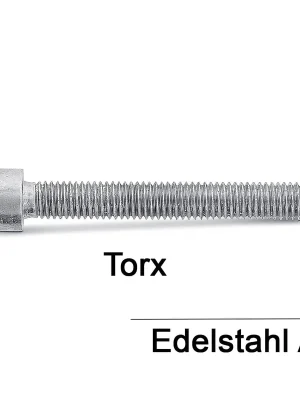 Versand Am Gleichen Tag ISO 14579 A4-70 M 2,5X10 TX8 Zylinderschrauben mit Innensechsrund - 500 Stück