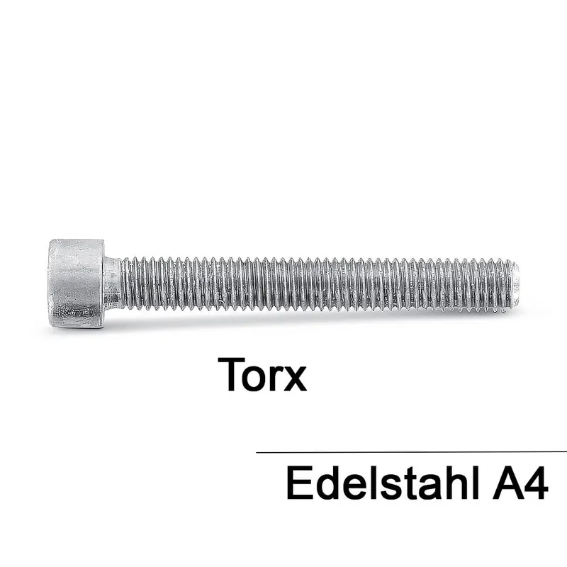 Versand Am Gleichen Tag ISO 14579 A4-70 M 2,5X10 TX8 Zylinderschrauben mit Innensechsrund - 500 Stück