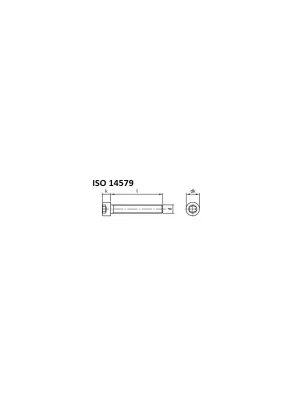 Abverkauf ISO 14579 A4-70 M 5X35/35 TX25 - Zylinderschrauben mit Innensechsrund, Vollgewinde - 200 St