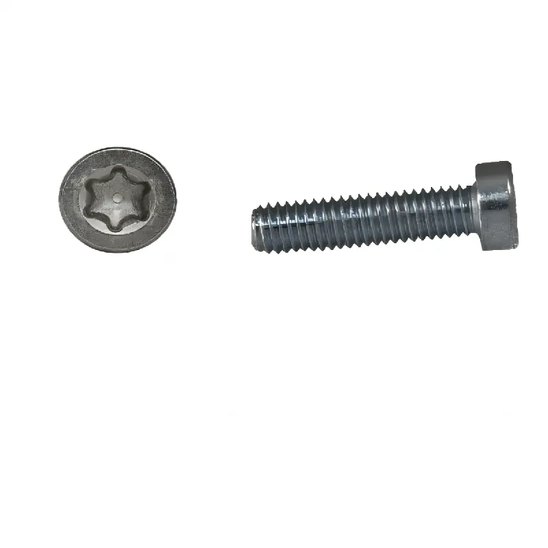 Zylinderschrauben ISO 14580 - M6x20 - Zylinderkopf - niedriger Kopf - Torx - A2 - 200 Stück Sonderangebot