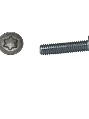 Wochenendangebot Zylinderschrauben ISO 14580 - M8x30 - Zylinderkopf - niedriger Kopf - Torx - A2 - 100 Stück