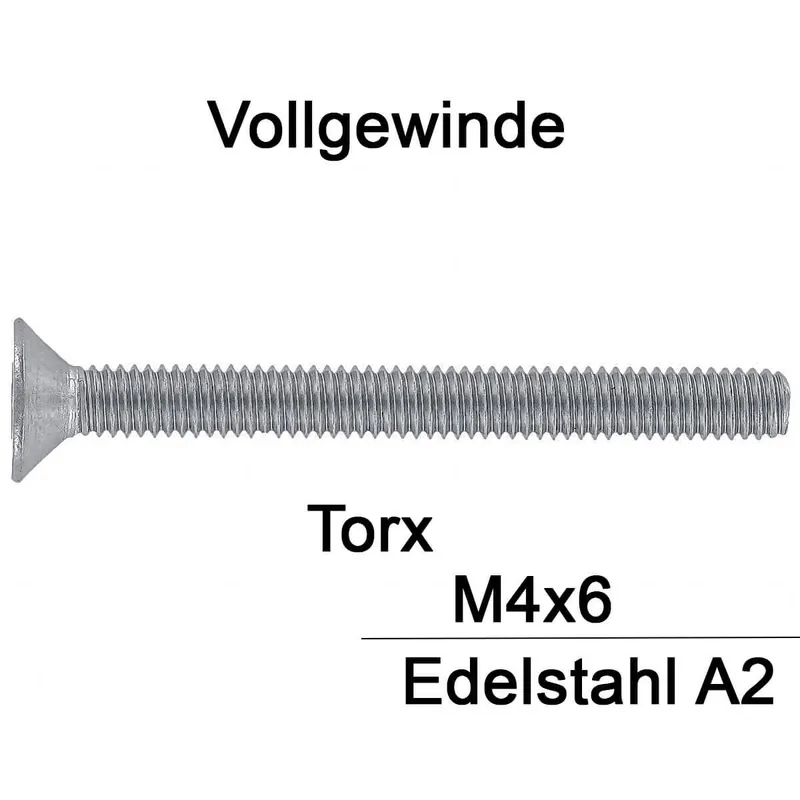 Aktuell ISO 14581 Senkkopfschraube A2 - M4x6 Tx20 - 500 Stück