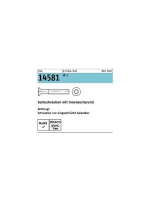 Bestpreis ISO 14581 Senkkopfschraube A2 - M6x130/130 Tx30 - 200 Stück