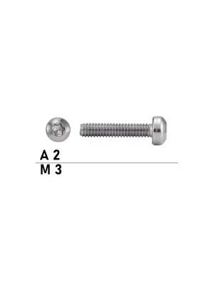 Angebot Flachkopfschraube - ISO14583 - M3x10 - TX - Edelstahl A2 - 500 Stück