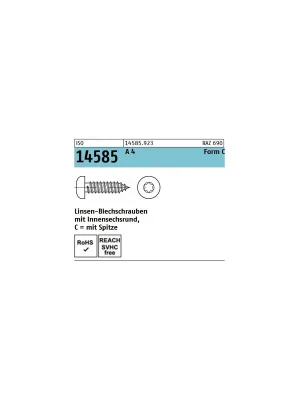 Ausverkauf ISO 14585 A4 C 6,3X100 TX30 - Flachkopf-Blechschrauben mit Innensechsrund - 200 St