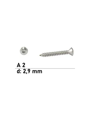 Beliebt ISO 14587 A2 C 2,9X22 TX10 - Linsensenk-Blechschrauben mit Innensechsrund - 1000 St