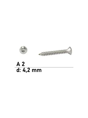 Abverkauf ISO 14587 A2 C 4,2X19 TX20 - Linsensenk-Blechschrauben mit Innensechsrund - 1000 St