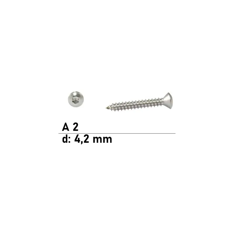Abverkauf ISO 14587 A2 C 4,2X19 TX20 - Linsensenk-Blechschrauben mit Innensechsrund - 1000 St