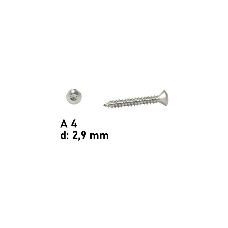 Ausverkauf ISO 14587 A4 C 2,9X16 TX10 - Linsensenk-Blechschrauben mit Innensechsrund - 1000 St