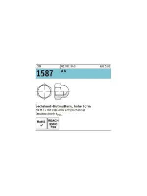 Begrenztes Angebot DIN 1587 Hutmuttern A4 M30 - 10 Stück
