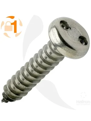 Top-Angebot Blechschrauben Zweiloch Linsenkopf A2