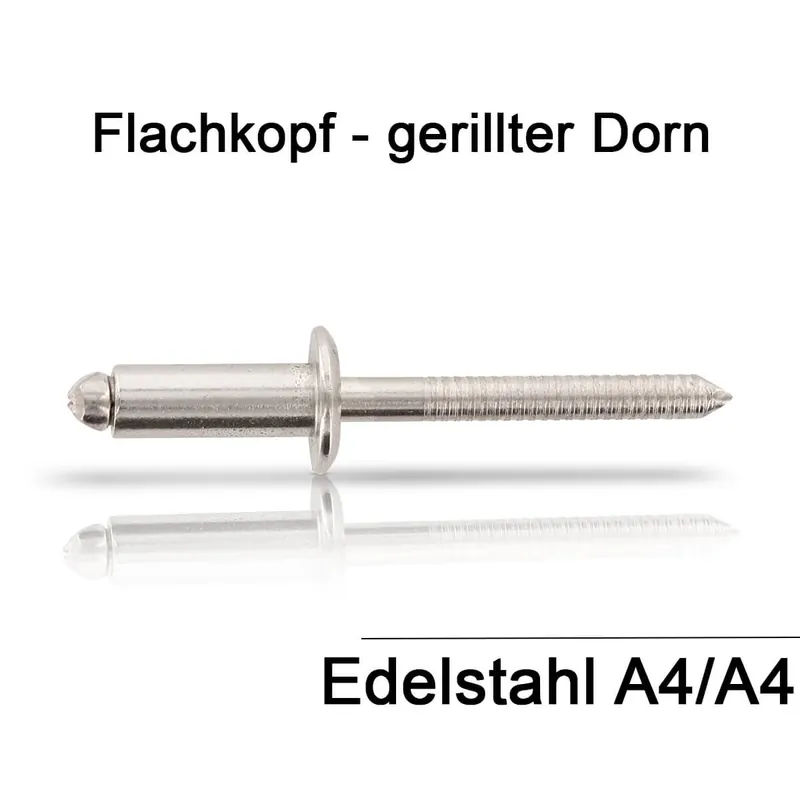 Abverkauf Blindnieten ISO 15983 A4/A4 (V4A) – 4,0 x 8 mm – Flachkopf – gerillter Nietdorn – 500 Stück