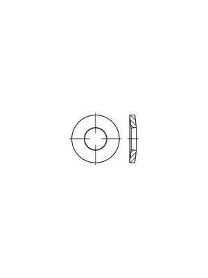 Aktuell DIN 6796 Spannscheibe - Edelstahl A4 - M10 - 200 Stück
