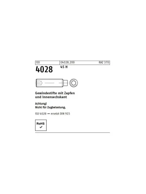Abverkauf ISO 4028 45 H Gewindestifte mit Zapfen und Innensechskant - Abmessung M 6 x 6 (1000 Stück)