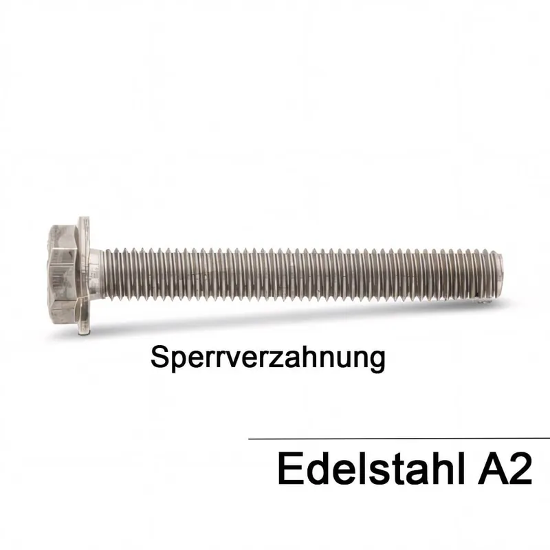 Neu Sechskantschrauben DIN 6921 - mit Flansch und Sperrverzahnung - A2