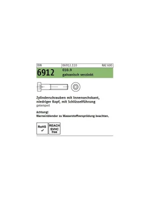 Super-Preis DIN 6912 Zylinderschrauben - verzinkt 10.9 - ISK - niedriger Kopf