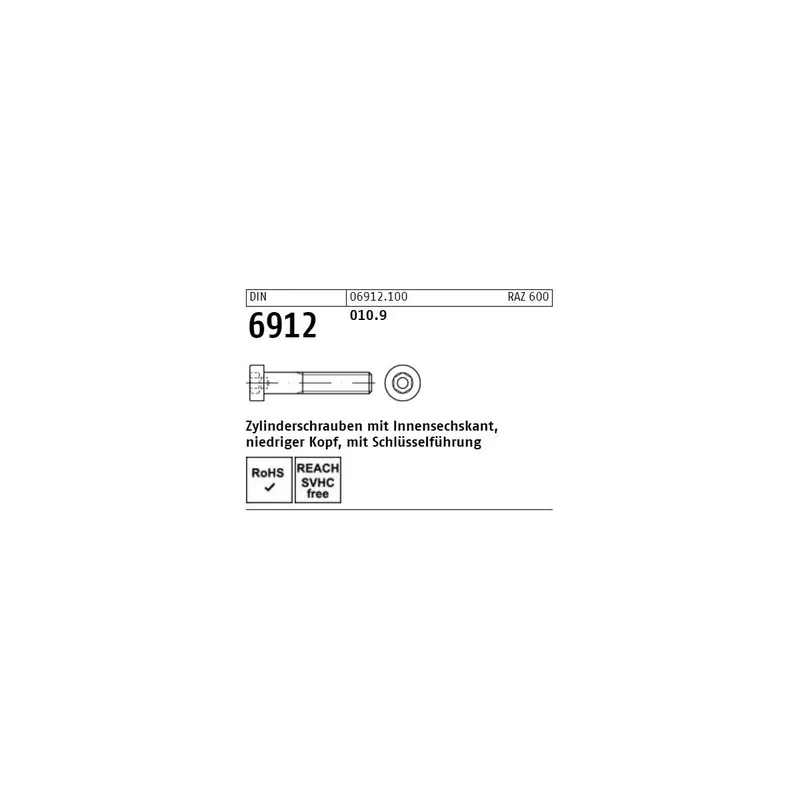 DIN 6912 Zylinderschrauben - Stahl 10.9 - ISK - niedriger Kopf Nur Für Kurze Zeit