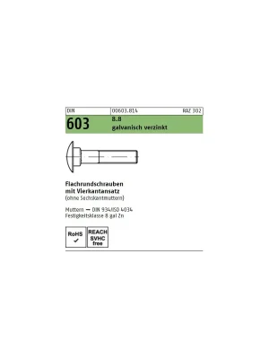 Abverkauf DIN 603 Schlossschraube - verzinkt 8.8 - M8x120 - 100 Stück