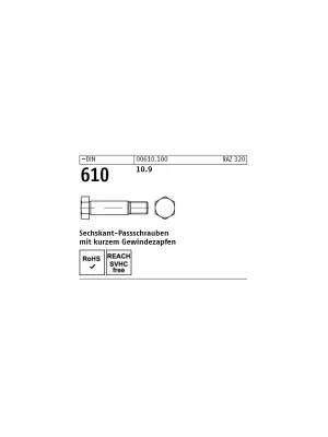~DIN 610 10.9 Sechskant-Passschrauben mit kurzem Gewindezapfen - Abmessung M 10 x 60 (25 Stück) Nur Heute