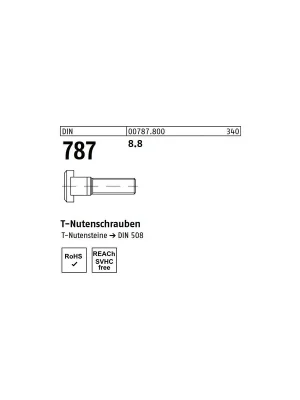 Abverkauf DIN 787 T-Nutenschrauben - 61,6x80 - Stahl 8.8 - 10 Stück