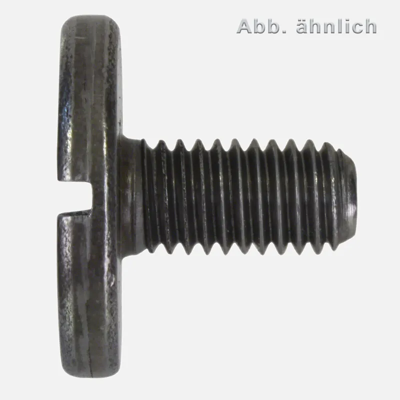 Neuheit 100 Flachkopfschrauben M6x12 mm - DIN 921 - mit Schlitz - 4.6/5.8 blank