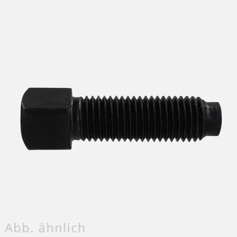 Garantierte Lieferung 50 Vierkantschrauben mit Kernansatz M10x60 mm - DIN 479 - 8.8 blank